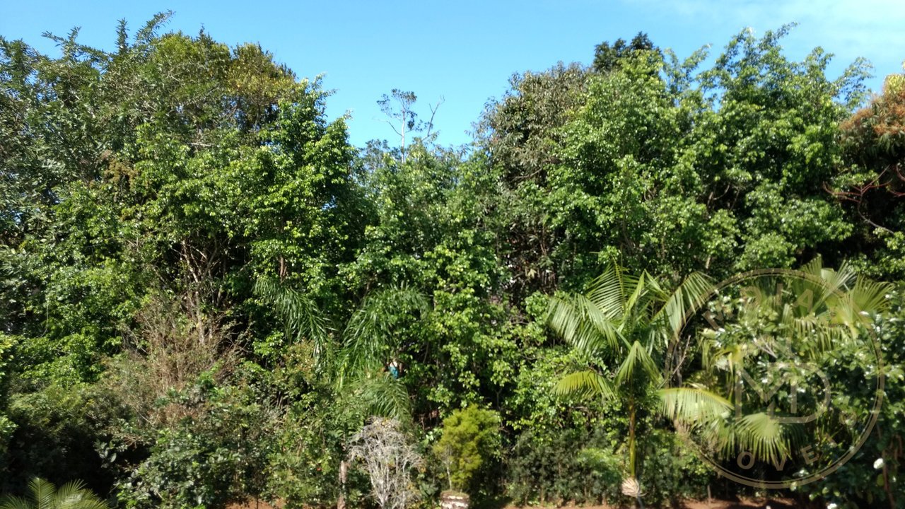 Casa — foto 28 de 53